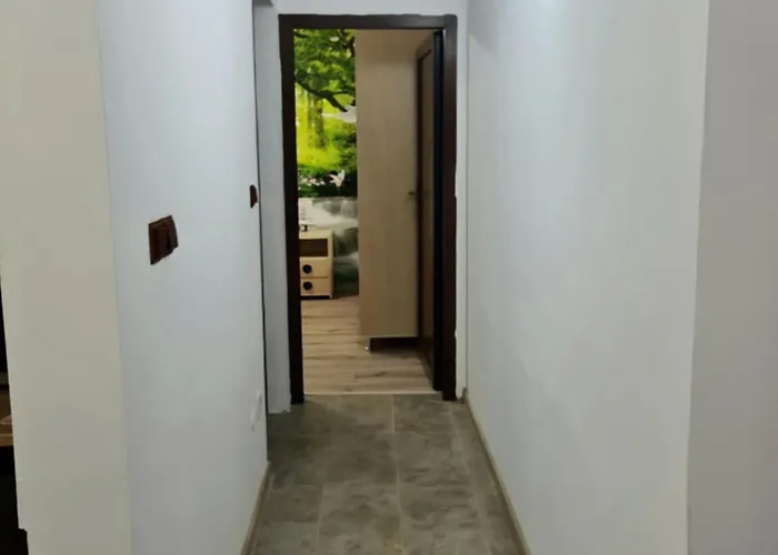 Gradina Botanica Premium Apartament *